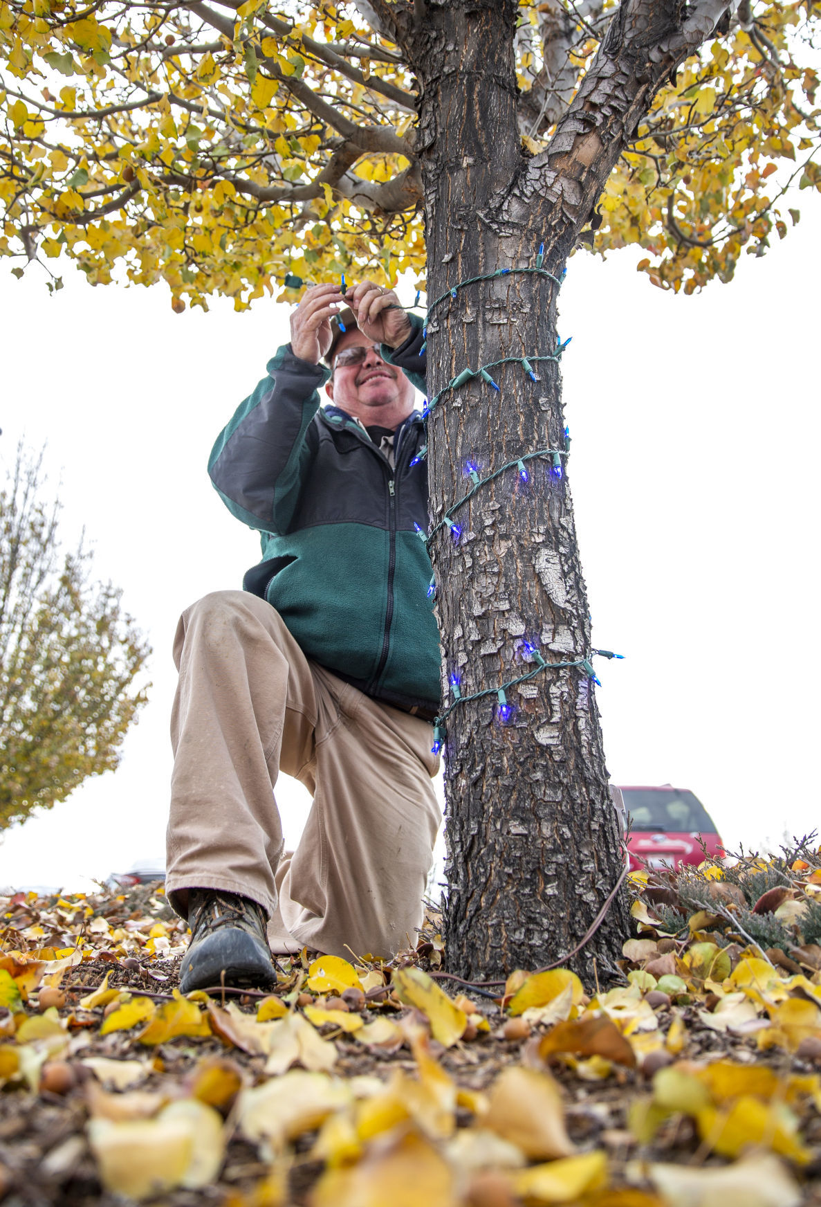 Setting up Christmas lights